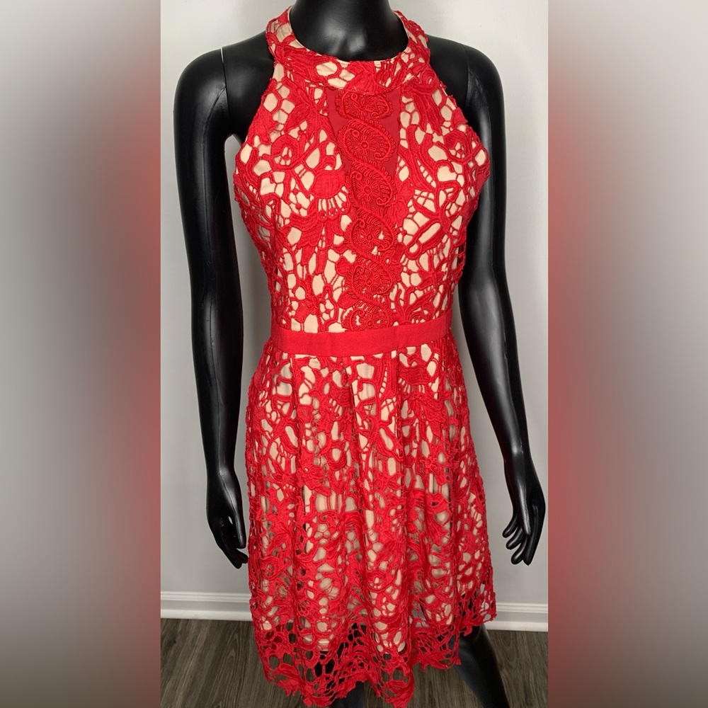 Francesca's Collections Red Lace Midi Dress
